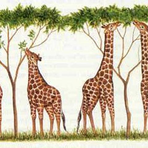 El origen de las especies