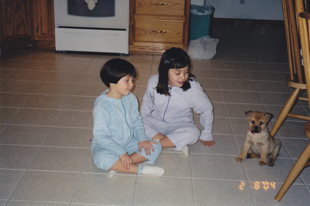 The day I got my dog!