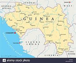 "The Chronicle of the Discovery and Conquest of Guinea"