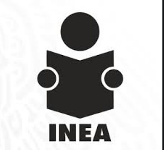 Surge el Instituto Nacional para la educación de los adultos