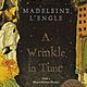 Timetoast a wrinkle in time