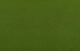 Una evolución para San Luis Potosí