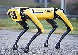 1992 BostonDynamics