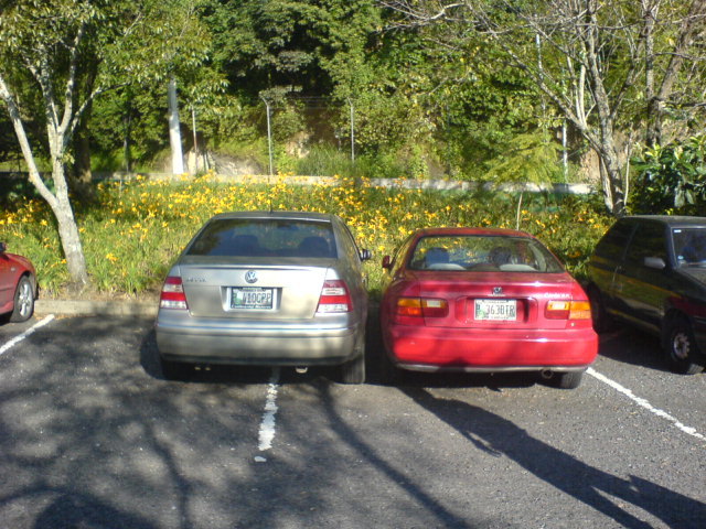 El mejor parqueado (NO FUI YO)