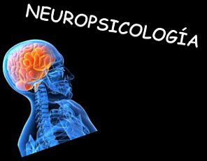 (KOLB & WHISHAW, 2002; RAINS, 2003)