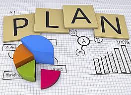 g)	El plan de acción.