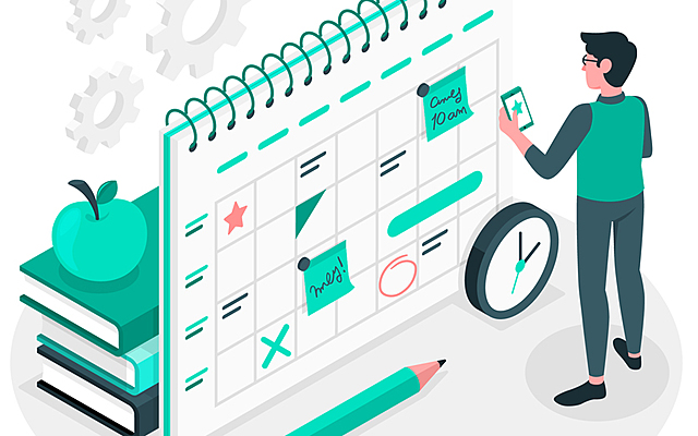 h)	El cronograma y el presupuesto.