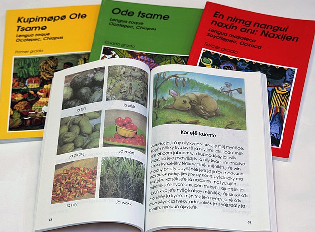 Primeros libros de textos.