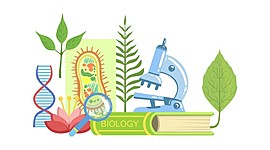 Timeline: Великие русские биологи и их открытия