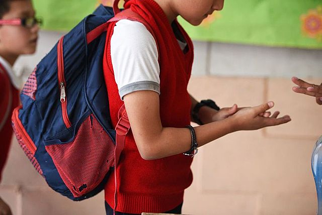 Ingreso a la escuela primaria