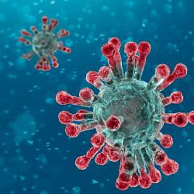 Timeline: coronavirus