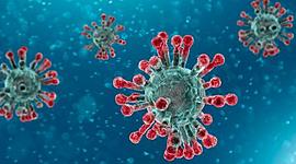 Timeline: coronavirus