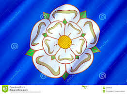 where is the book oriented?