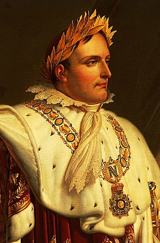 Napoleone diventa console a vita