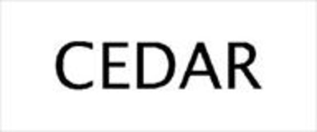 CEDAR Audio develops a Noise Reduction stystem