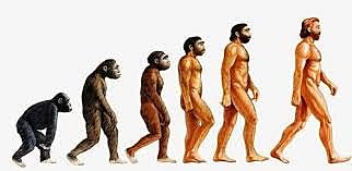 Aparició 1rs homínids