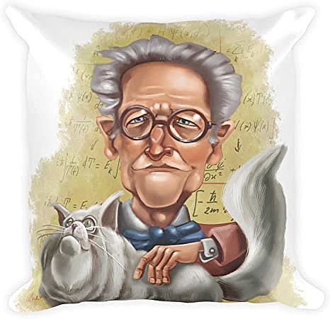 L'equazione di Schrödinger