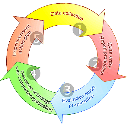 Metodología benchmarking