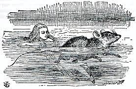 Alice falls into the pool