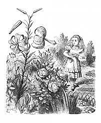 Alice returns to the hall and finally gets into the beautiful garden