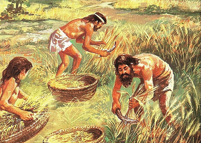Inicio de la agricultura 3,500 a.C.