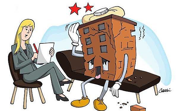 Finalmente se estructuran las firmas consultoras en esta área