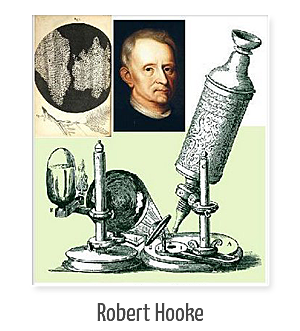 Robert Hooke