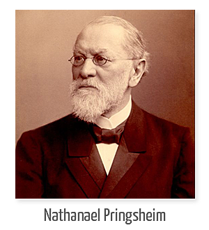 Nathanael Pringsheim