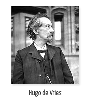 Hugo de Vries