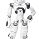 Full nao robot