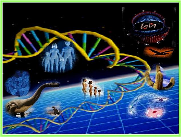 Proyecto Genoma Humano