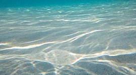 Timeline: ΧΡΙΣΤΟΥΓΕΝΝΑ