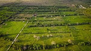 Decreto Cortes Generales y Extraordinarias de España