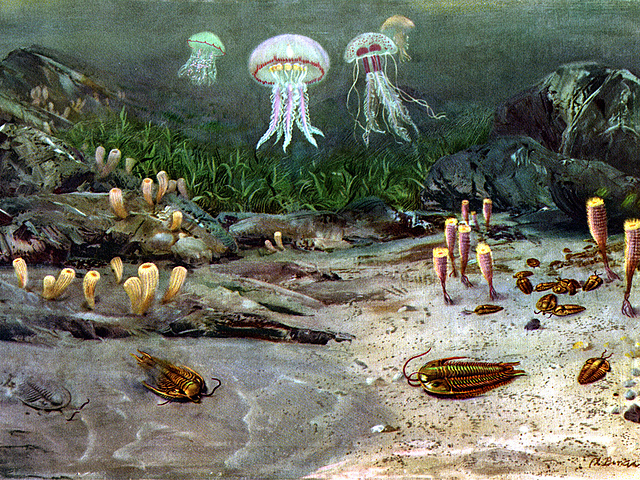 Неопротерозой (1 млрд.–540 млн. лет).