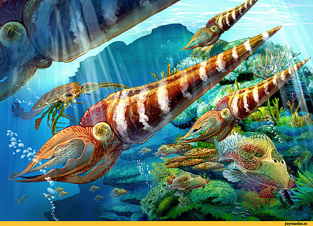 Ордовик(485–443 млн. лет)