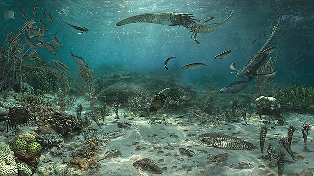 Силур(443–419 млн. лет)