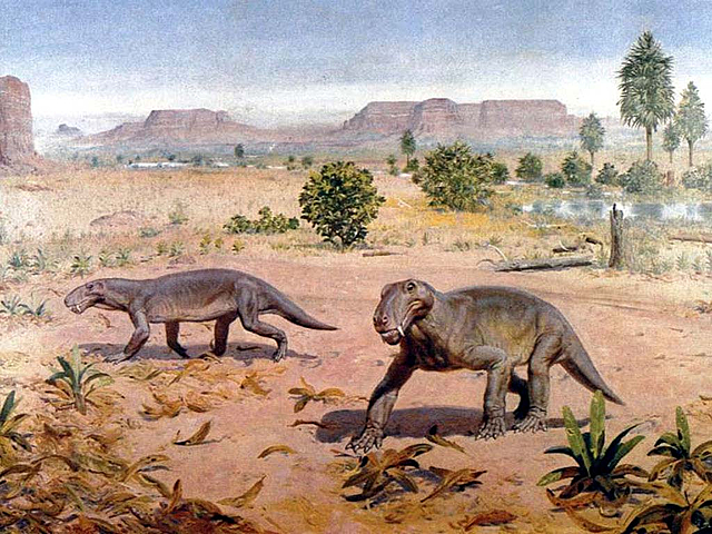 Пермь(299–252 млн. лет)