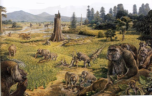 Кайнозой(66 млн лет назад)