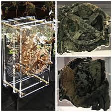 Antikythera (Griegos)