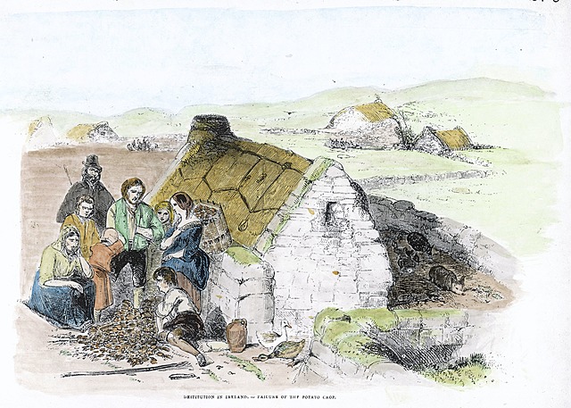 Irish Potato Famine