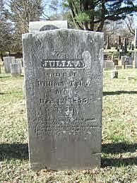 Julia Tyler