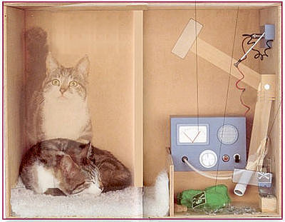 Paradosso di Schrodinger