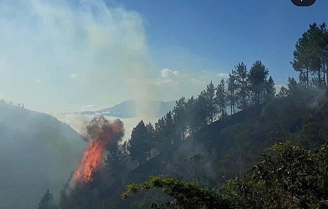 Incendios Forestales en Chilla