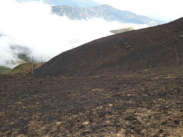 Incendio Forestal Chilla 2019