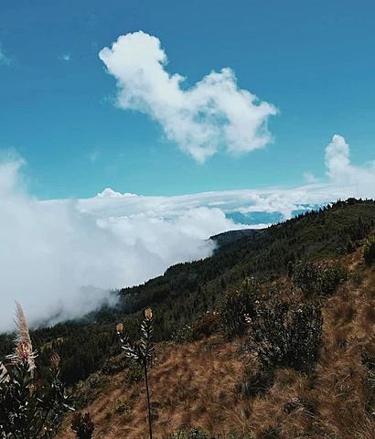 Incendios Forestales en Chilla 2020