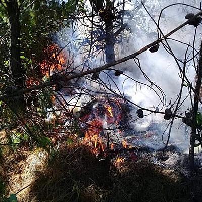 Timeline: Incendios Forestales Provincia de El Oro