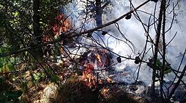 Timeline: Incendios Forestales Provincia de El Oro