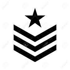 serve in the millaterry