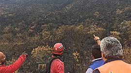 Timeline: LÍNEA DE TIEMPO- INCENDIOS FORESTALES EN LA PROVINCIA DE ORO 2018-2019-2020.                            Elaborado por: Srta.María Belén Naula Paredes.