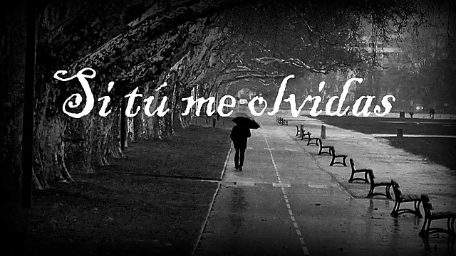 Si tú me olvidas